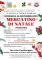 Mercatino di Natale
